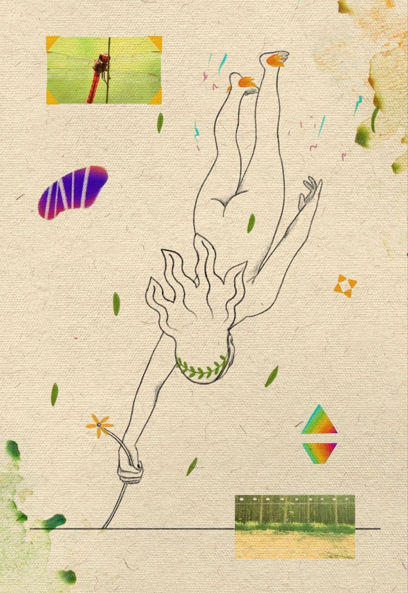 Meet Les Cogumelos: Multi-Disciplinary Digital Disciple of Nature.