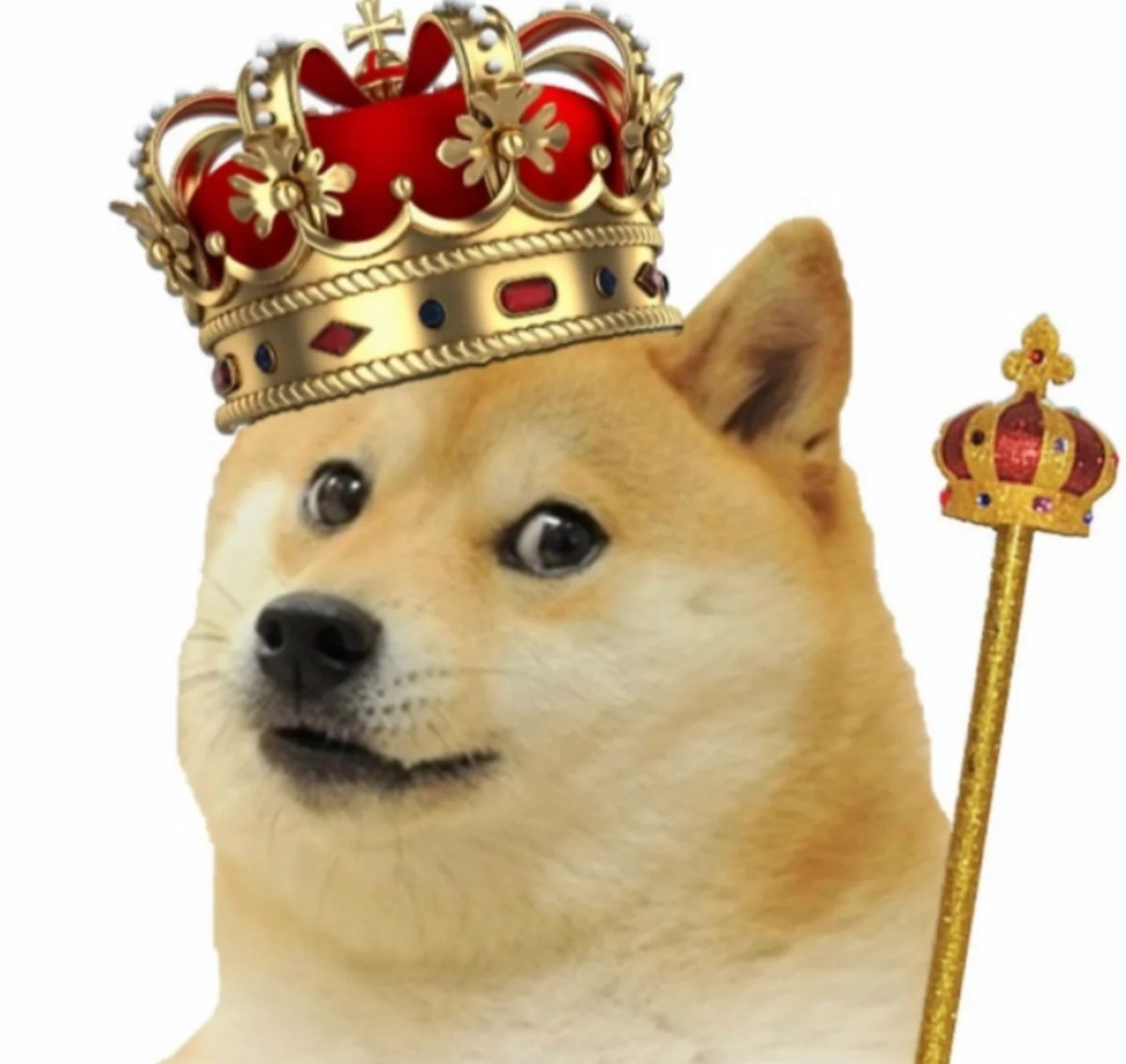 The Rise of Doge